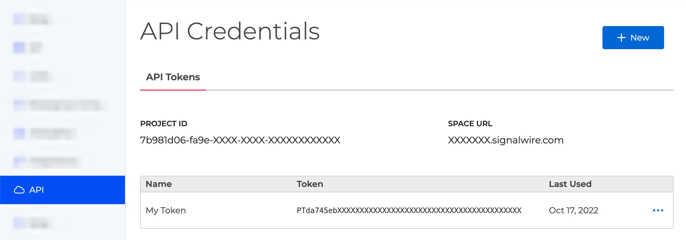 API configuration page.